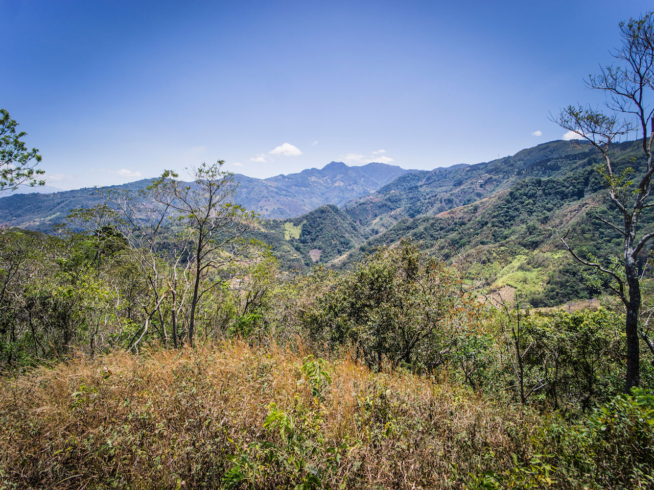 Stunning Lotes for Sale in Condominium with Amazing Views in Santa Ana — photo 8 of 10