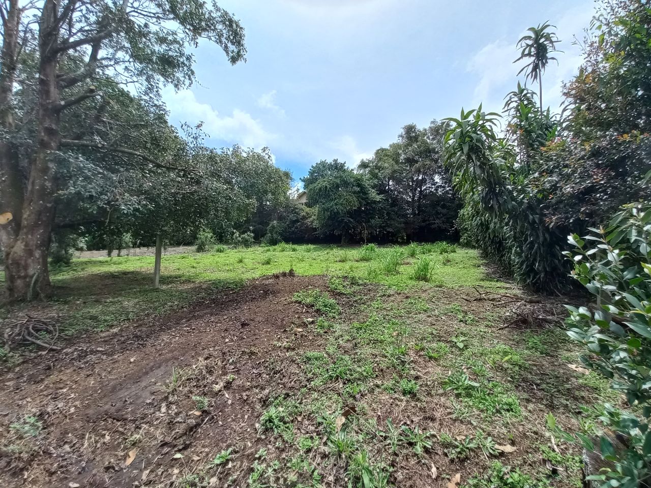 Sale of Lot-san José De La Montaña, Barva, Heredia — photo 4 of 6