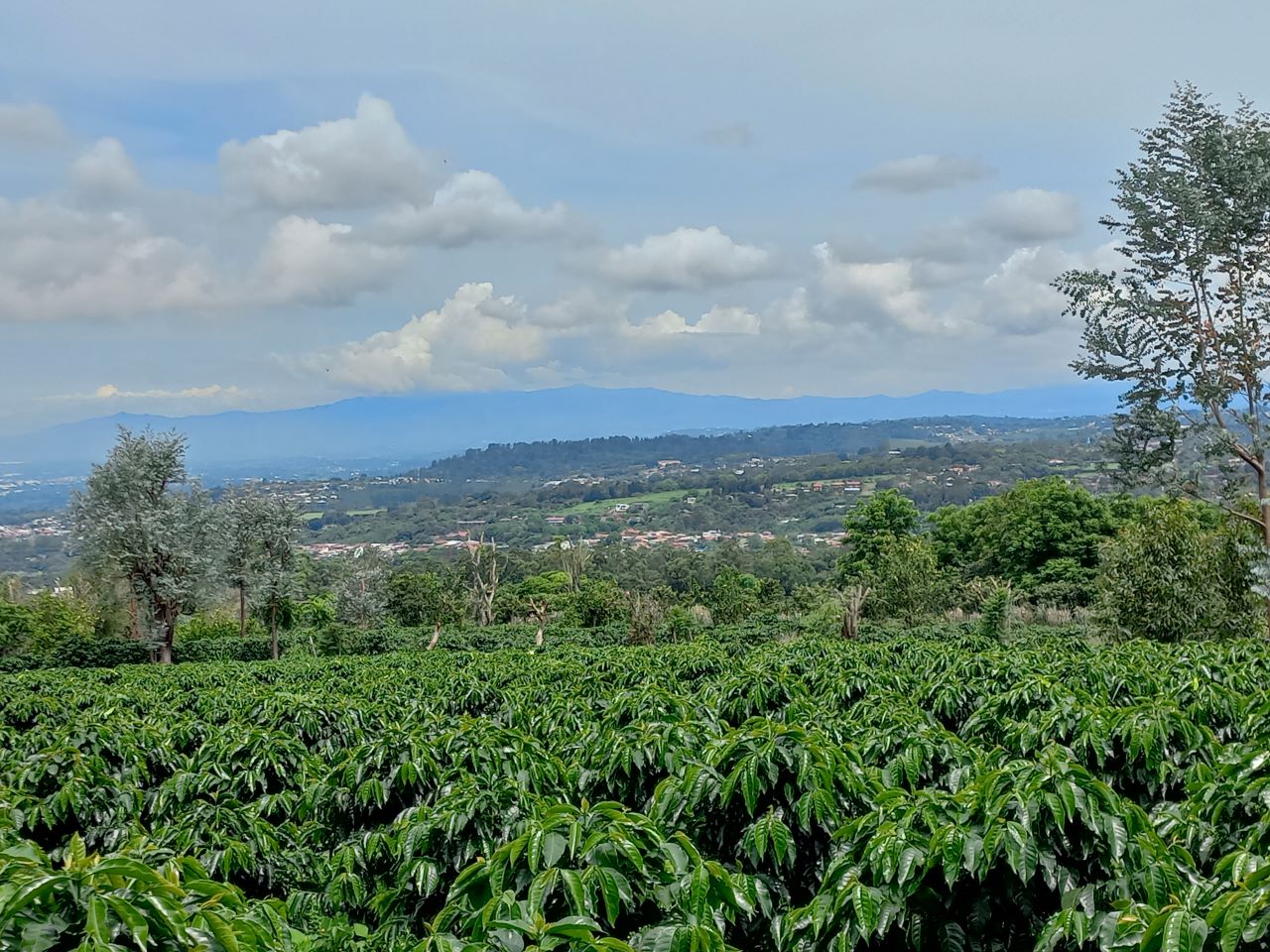 Sale of Lot-san José De La Montaña, Barva, Heredia — photo 5 of 6