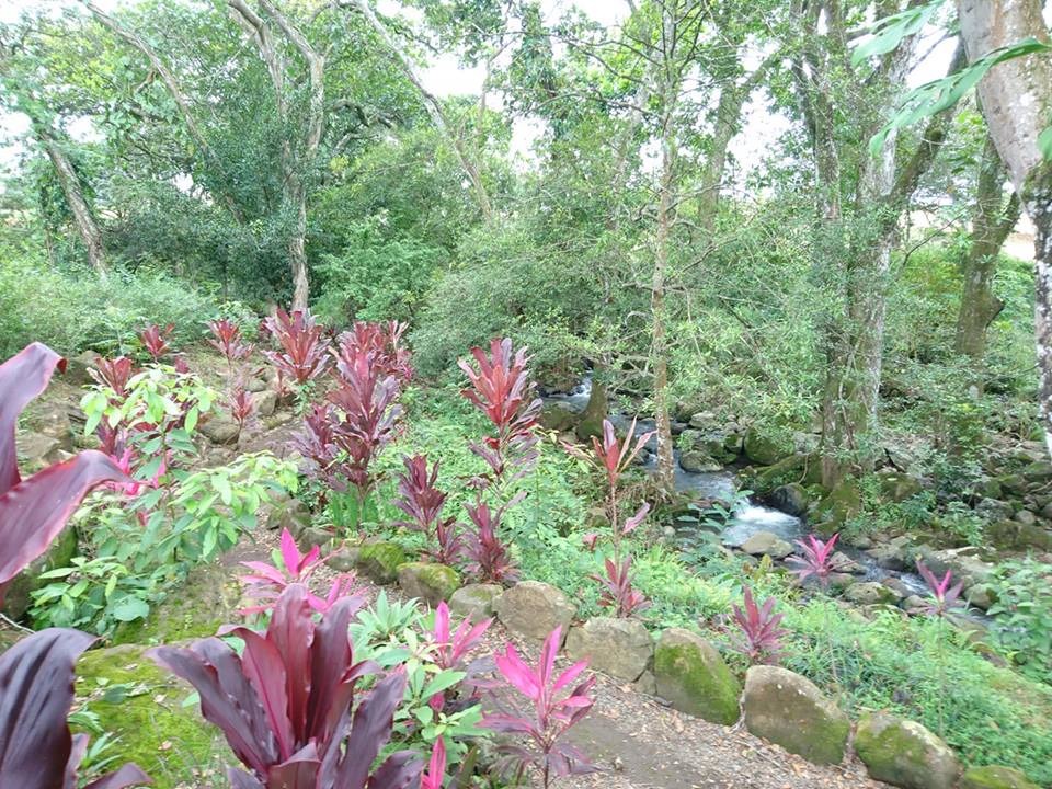 Lots in Condominium - La Guacima — photo 9 of 10